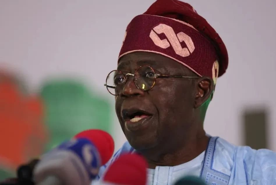 Tinubu Should’ve Phased Out Petrol Subsidy Gradually — Ex-NESG Chief Bukar