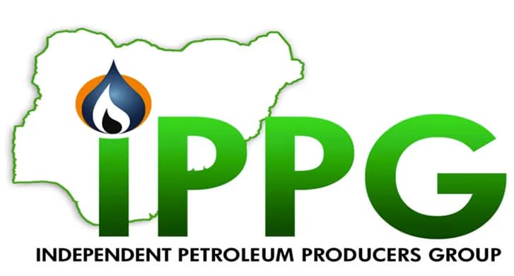 Nigeria’s Crude Oil Production Insufficient to Meet Energy Needs, IPPG Says
