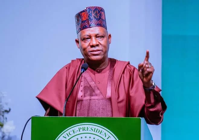 Nigeria Must Safeguard Dangote Refinery, Says Shettima