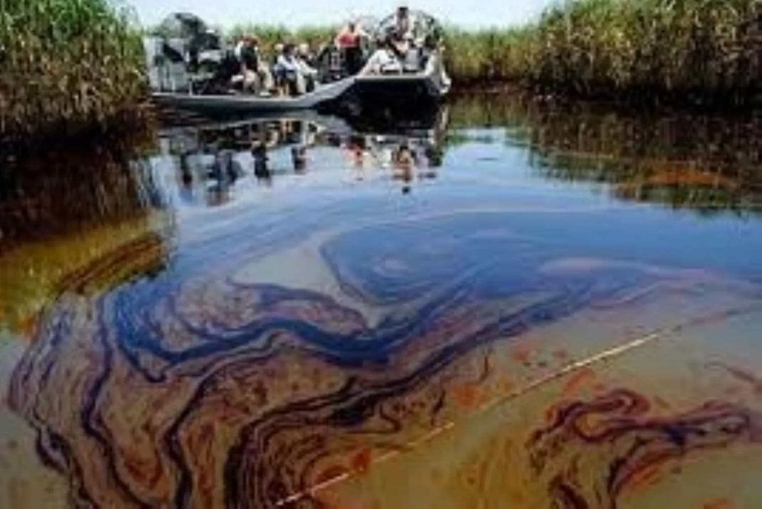 Concerns Over Ogoni Oil Spill Cleanup