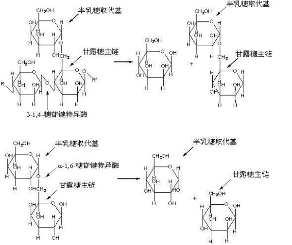 Fusozyme® Coalbed Methane Guar Gum Enzyme Breaker