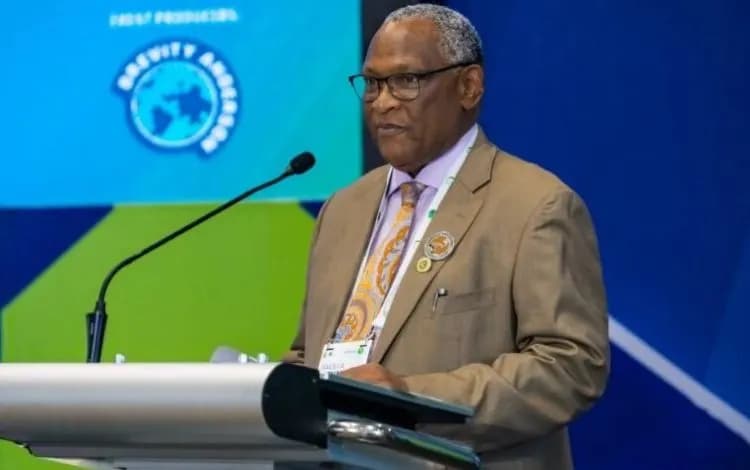 Africa Needs Fuel Specifications, Not Fuel Pricing Harmonisation — NMDPRA Chief
