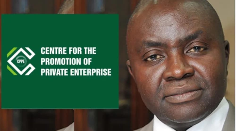 CPPE Defends Dangote Refinery, Warns Against Fuel Import Liberalisation