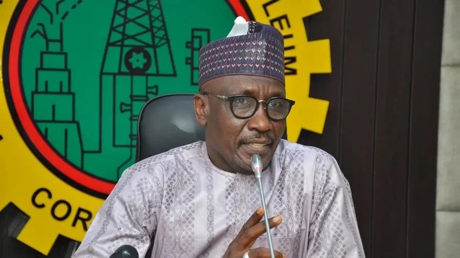 Ex-NNPCL Boss Kyari Says He Is ‘Deeply Shocked’ by Senate Arrest Warrant Over ₦210tn Probe
